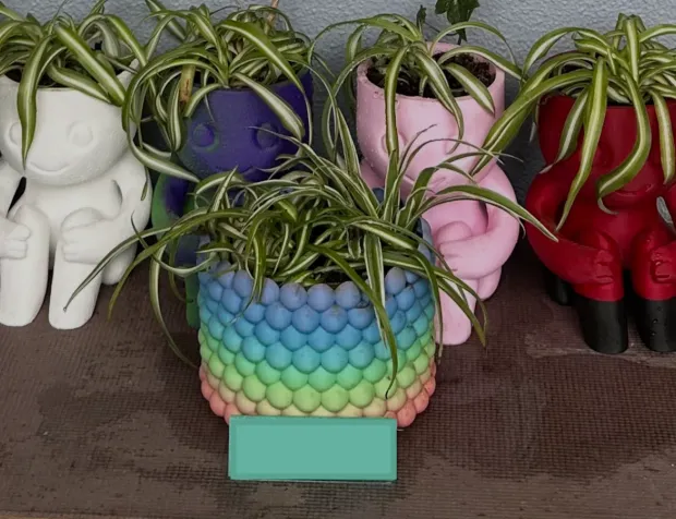 Bubble-textured planter with built-in drainage mesh